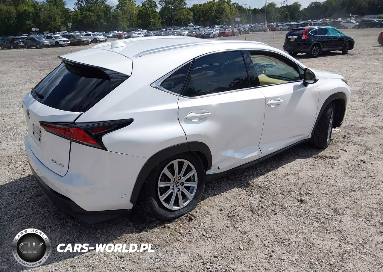 2021 Lexus Nx 300 VIN:JTJDARDZ4M5020446 - 4