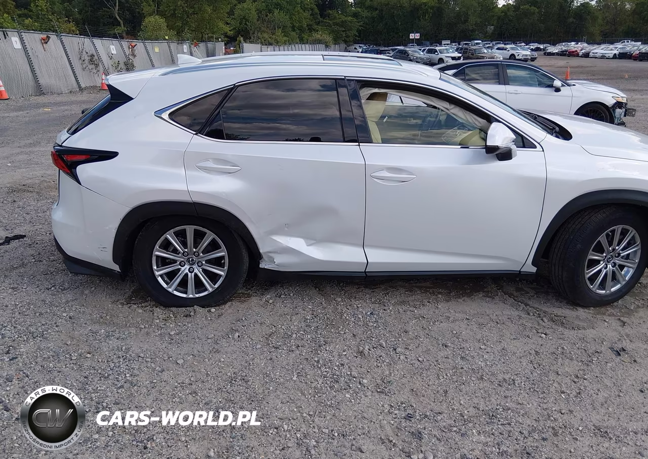 2021 Lexus Nx 300 VIN:JTJDARDZ4M5020446 - 6