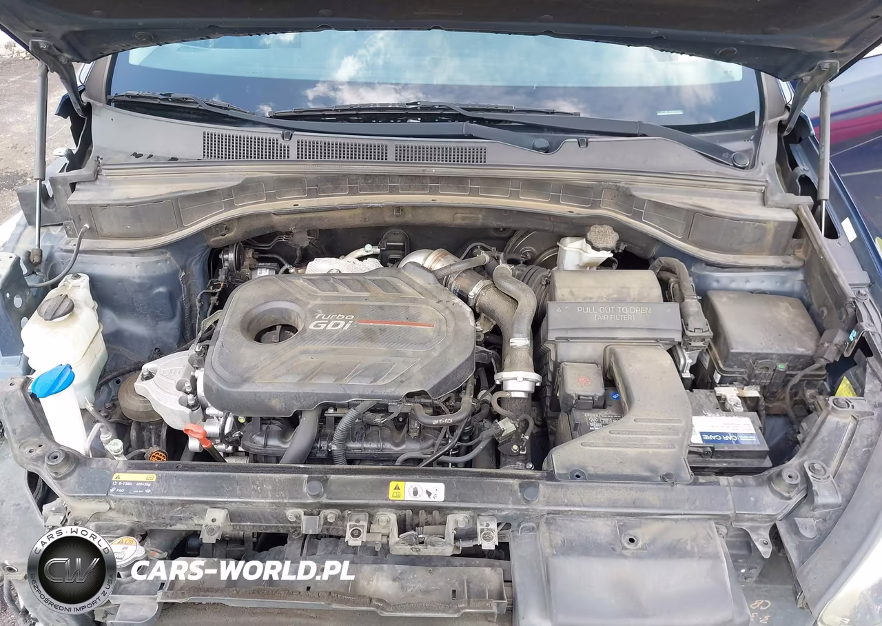 2017 Hyundai Santa Fe Sport 2.0T Ultimate VIN:5XYZW4LA4HG410565 - 10