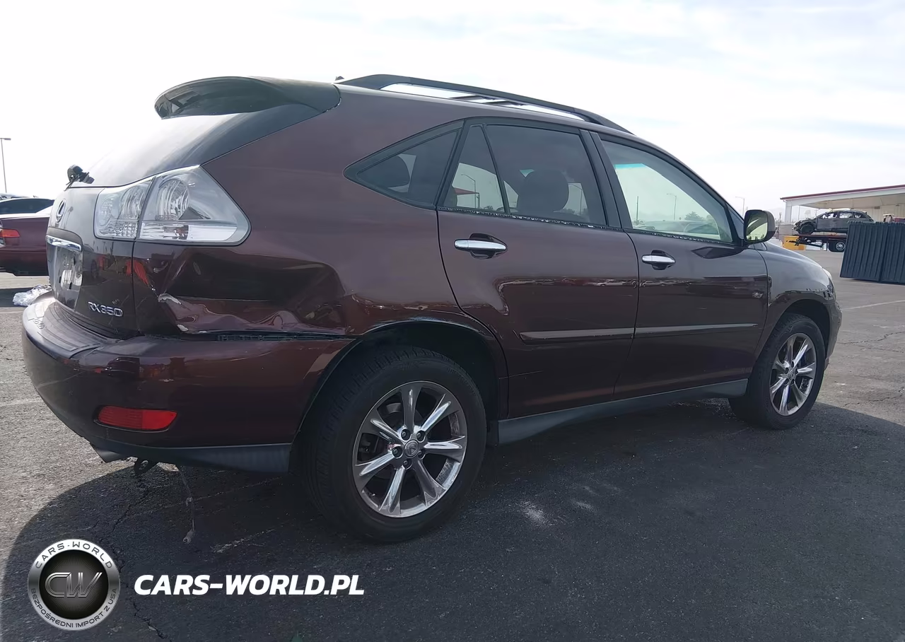 2009 Lexus Rx 350 VIN:JTJGK31U799852184 - 4