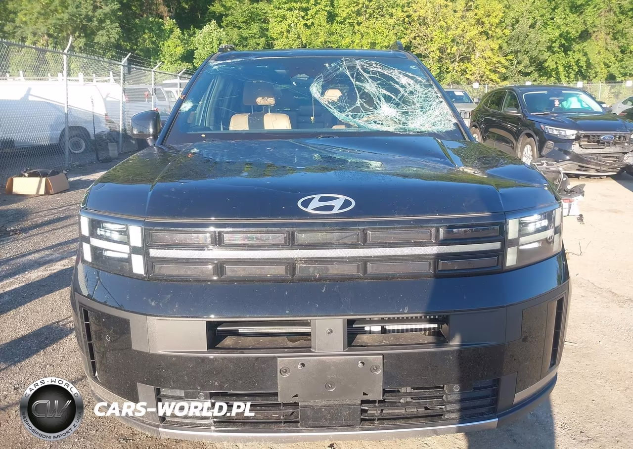 2024 Hyundai Santa Fe Hybrid Limited VIN:5NMP3DG11RH003997 - 12