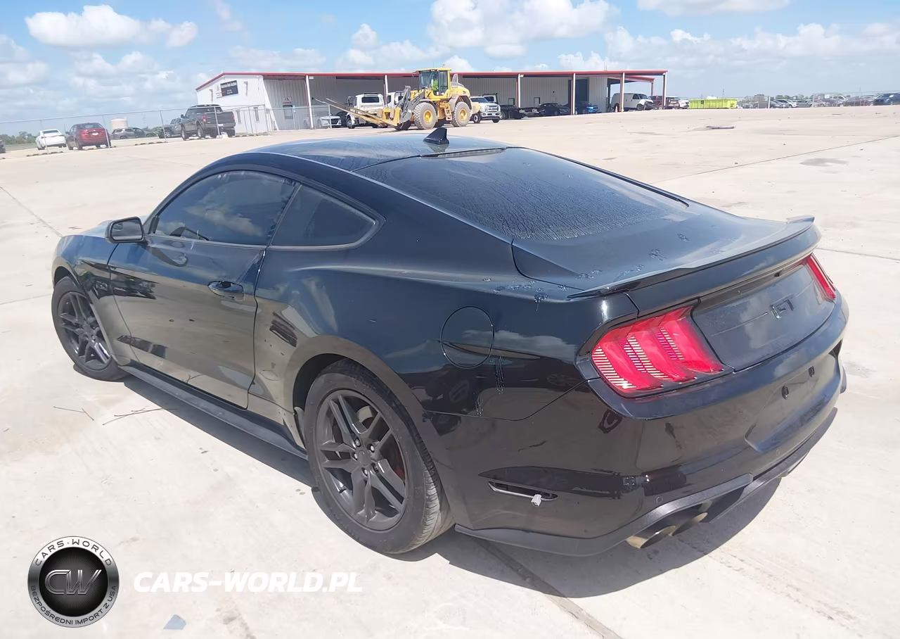 2020 Ford Mustang Gt Fastback VIN:1FA6P8CFXL5158458 - 3