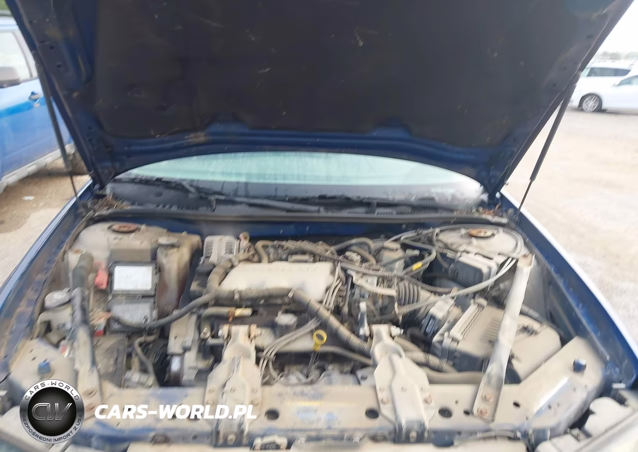 2004 Chevrolet Impala VIN:2G1WF52E549460998 - 10