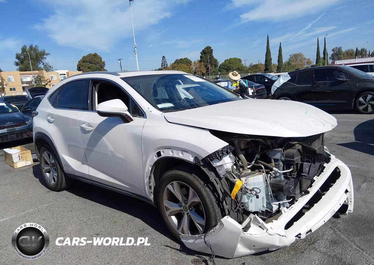 2017 Lexus Nx 300H VIN:JTJBJRBZ3H2062740 - 13