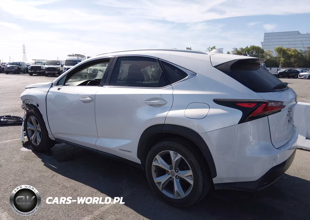 2017 Lexus Nx 300H VIN:JTJBJRBZ3H2062740 - 14