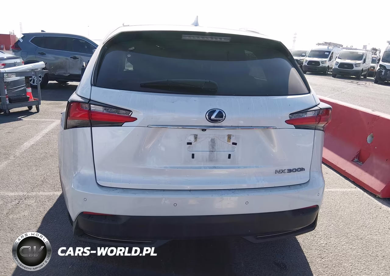 2017 Lexus Nx 300H VIN:JTJBJRBZ3H2062740 - 16