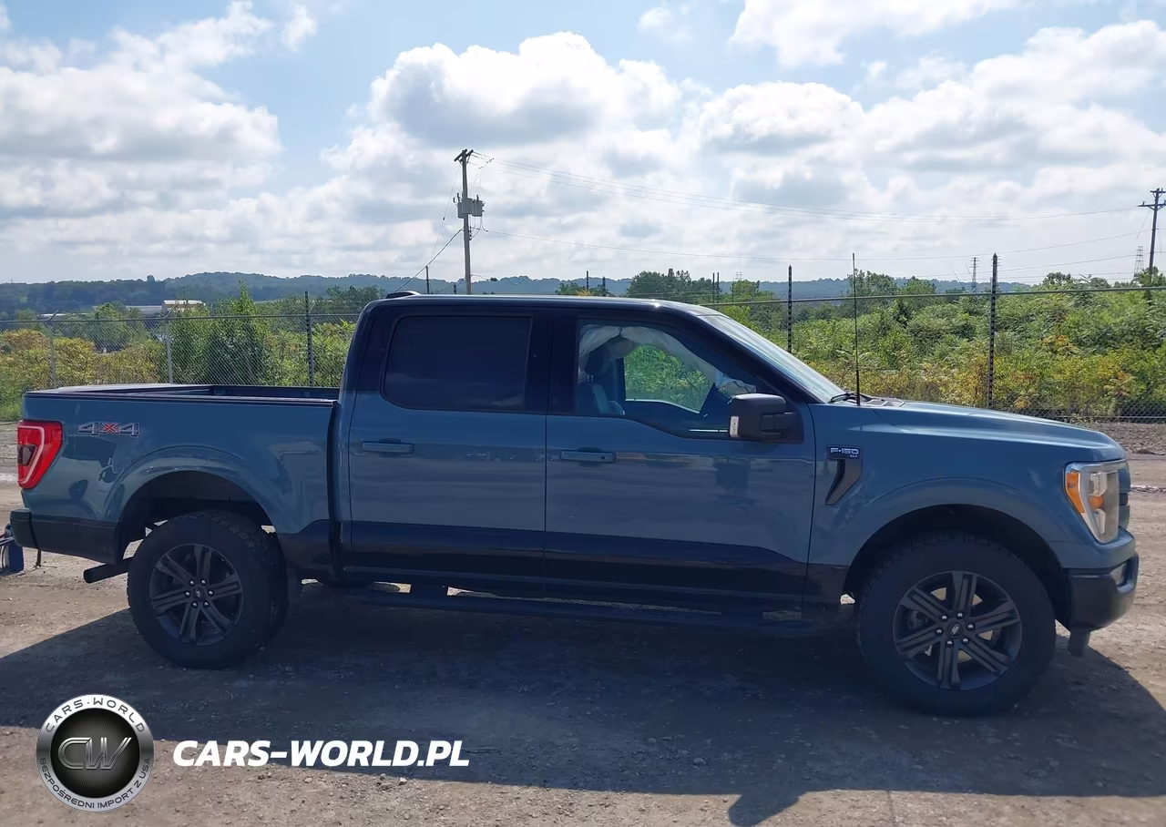 2023 Ford F-150 Xlt VIN:1FTFW1E87PKF14262 - 13