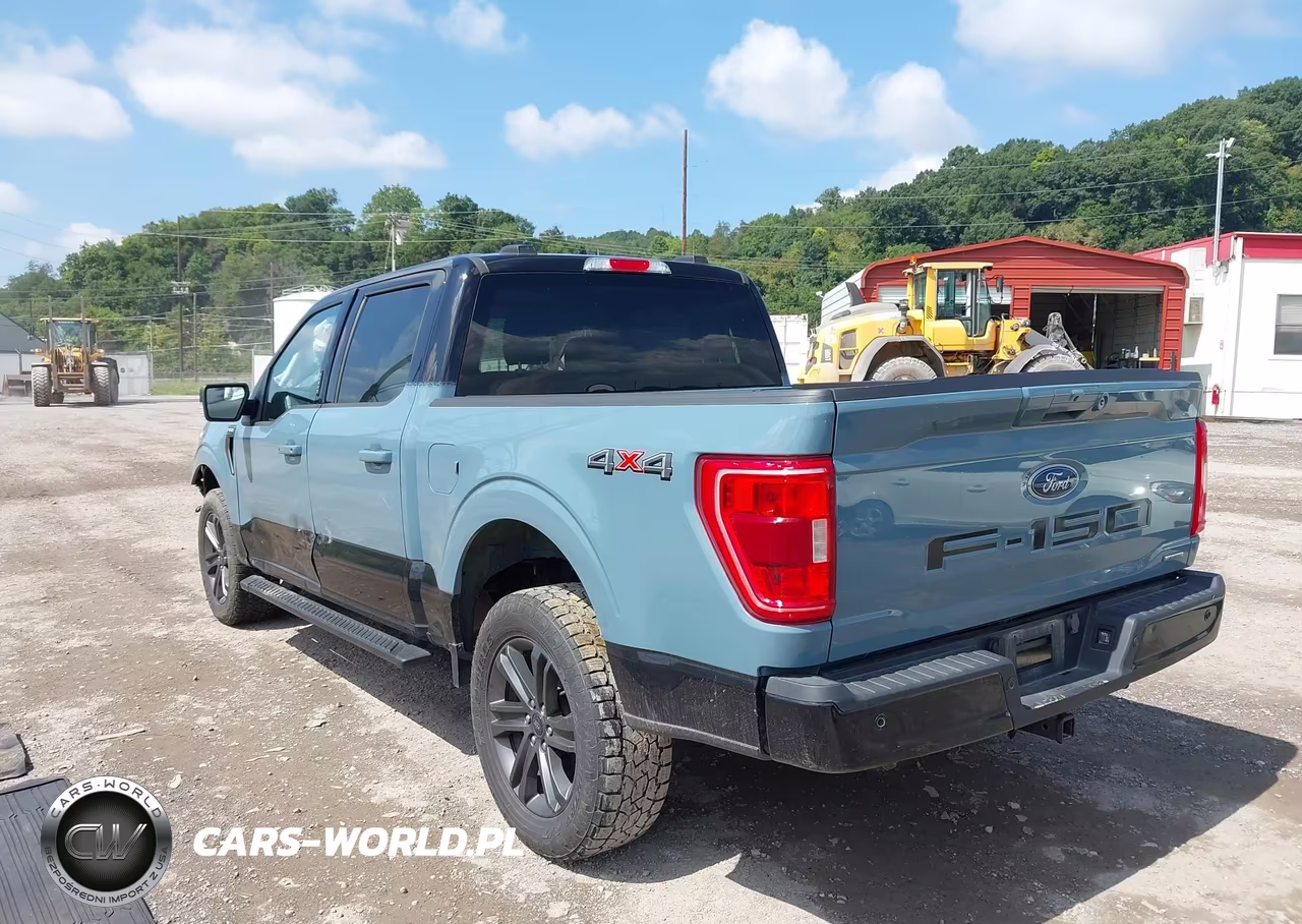 2023 Ford F-150 Xlt VIN:1FTFW1E87PKF14262 - 3