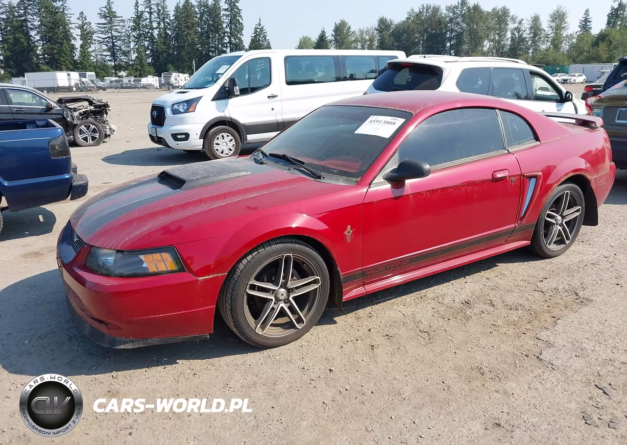 2002 Ford Mustang Deluxe-Premium-Standard VIN:1FAFP40492F135063 - 2