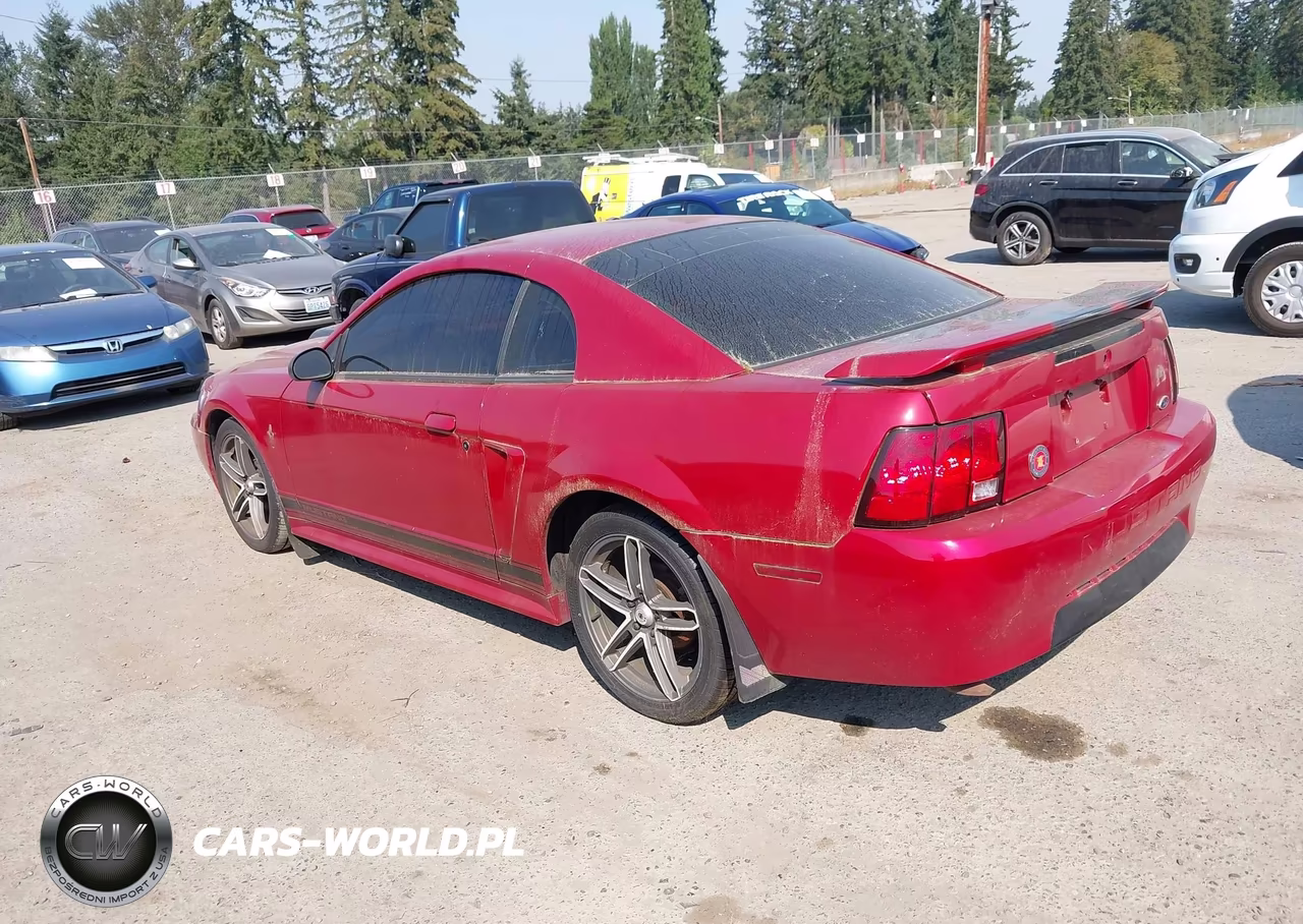 2002 Ford Mustang Deluxe-Premium-Standard VIN:1FAFP40492F135063 - 3