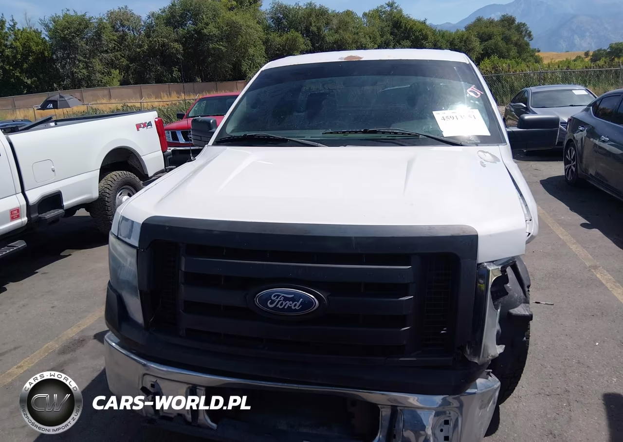 2010 Ford F-150 Stx-Xl-Xl W-Mid-Box Prep-Xlt-Xlt W-Mid-Box Prep VIN:1FTMF1CW2AKA98217 - 11