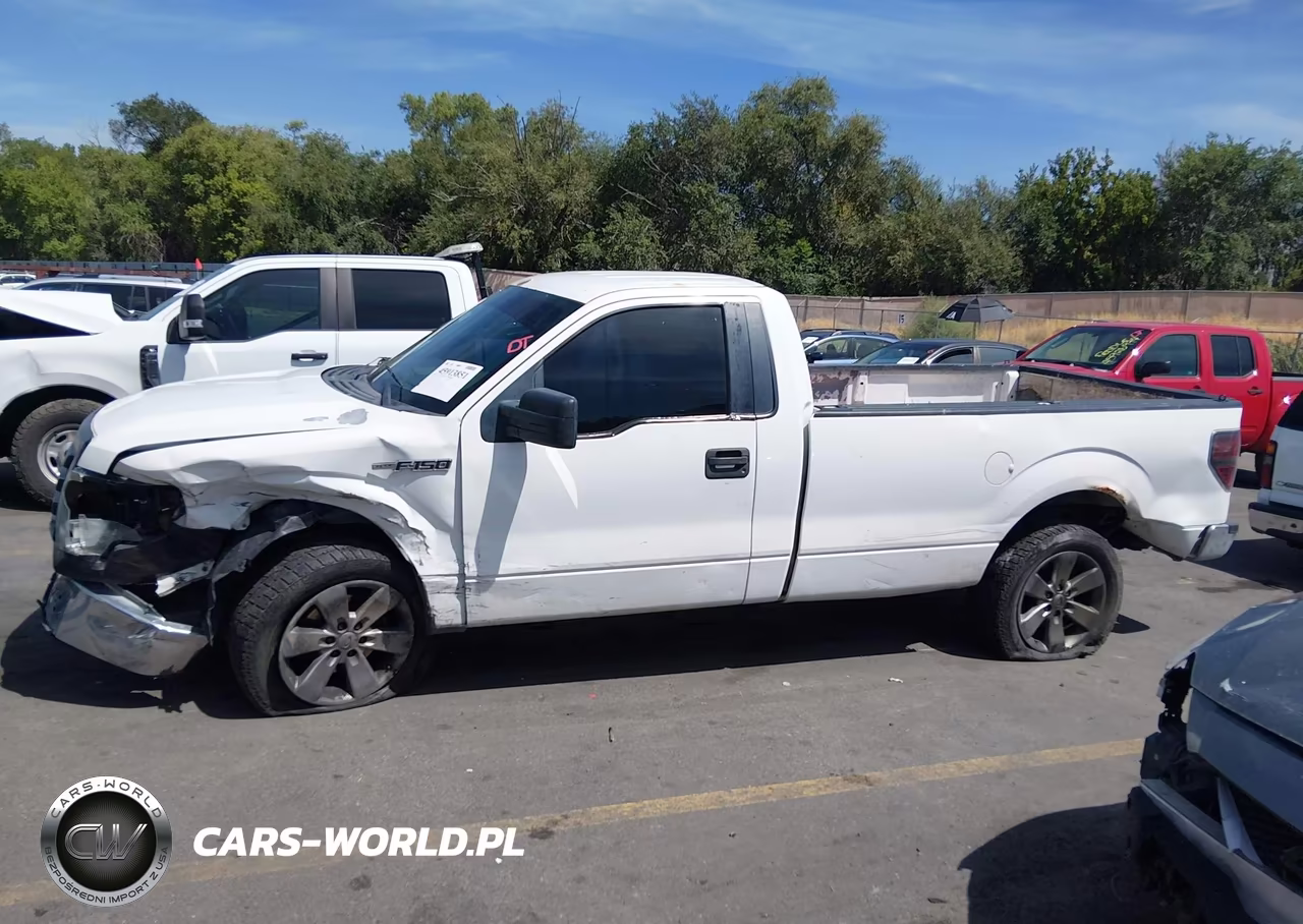2010 Ford F-150 Stx-Xl-Xl W-Mid-Box Prep-Xlt-Xlt W-Mid-Box Prep VIN:1FTMF1CW2AKA98217 - 13