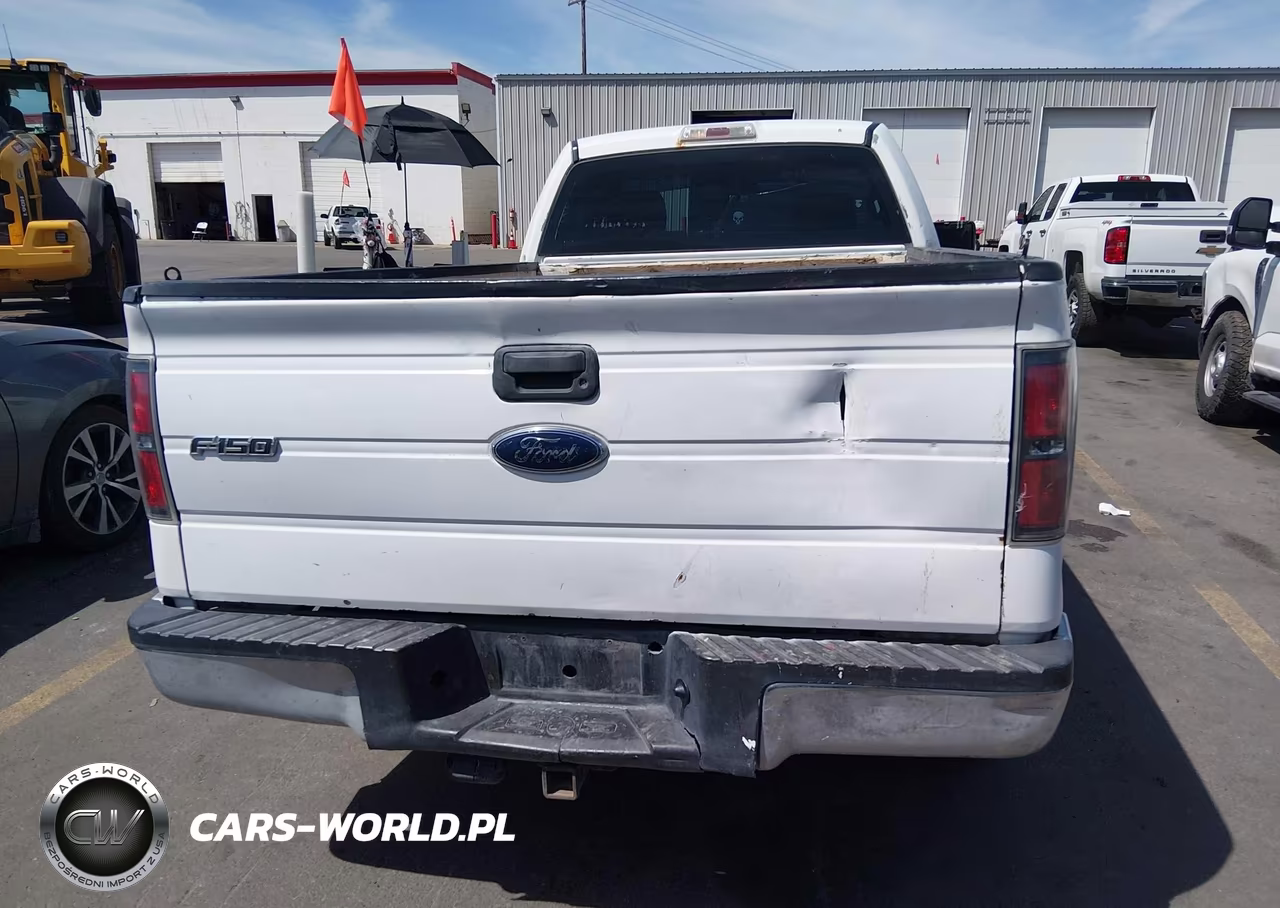 2010 Ford F-150 Stx-Xl-Xl W-Mid-Box Prep-Xlt-Xlt W-Mid-Box Prep VIN:1FTMF1CW2AKA98217 - 15