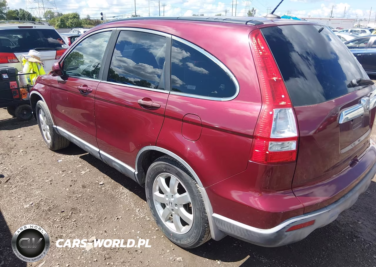 2007 Honda Cr-V Ex-L VIN:JHLRE387X7C019002 - 3