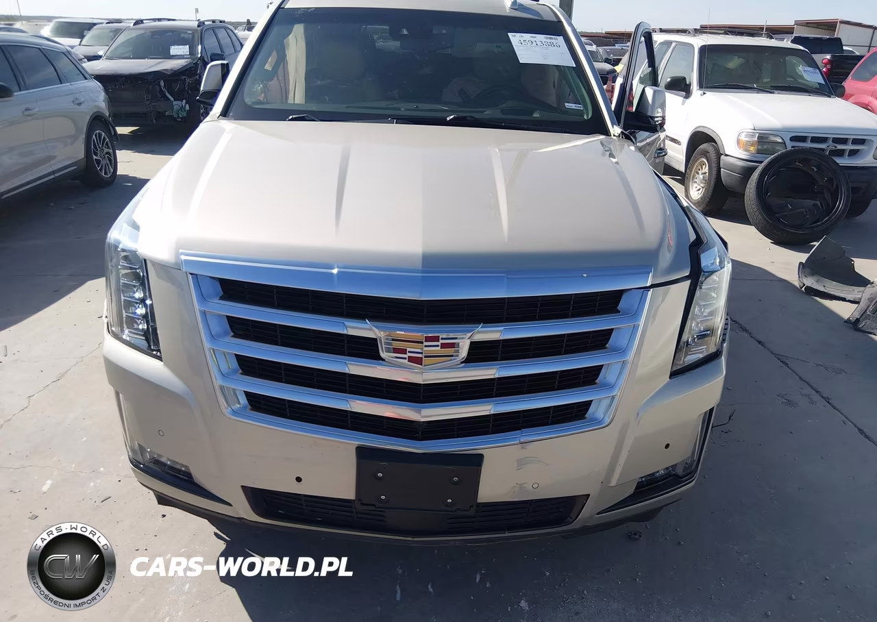 2015 Cadillac Escalade Premium VIN:1GYS4NKJXFR570067 - 13