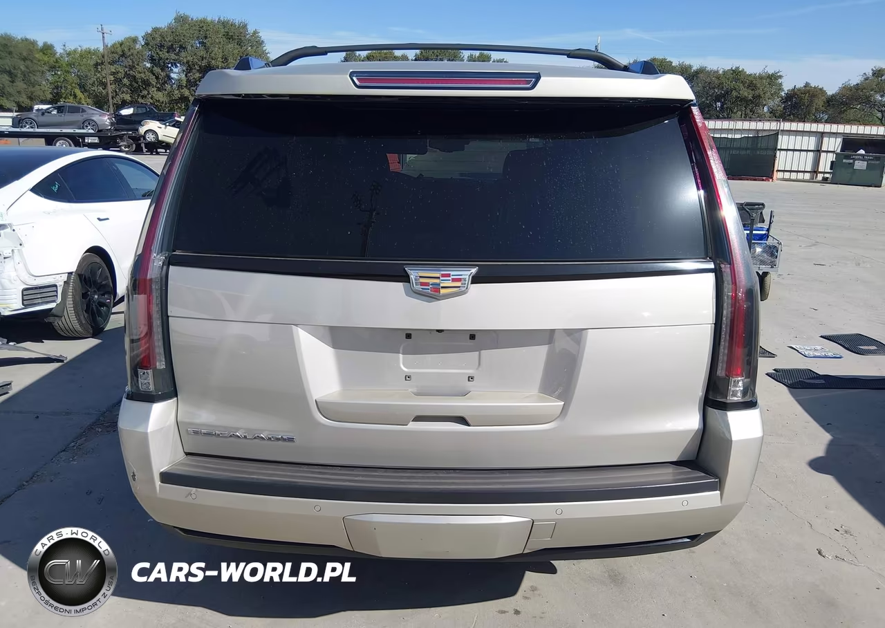 2015 Cadillac Escalade Premium VIN:1GYS4NKJXFR570067 - 17