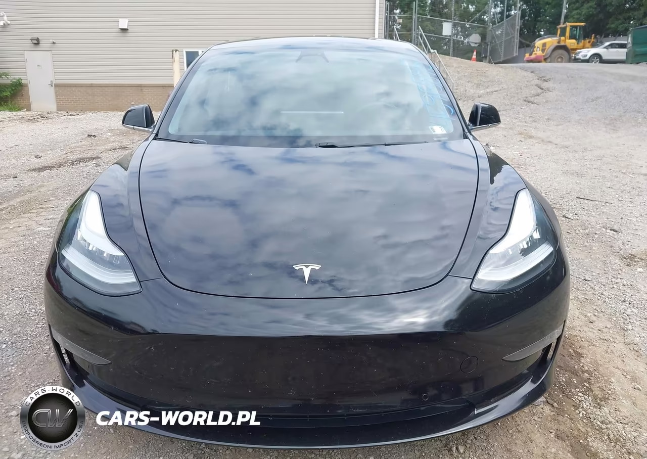 2019 Tesla Model 3 Long Range-Mid Range-Standard Range-Standard Range Plus VIN:5YJ3E1EA1KF306523 - 12