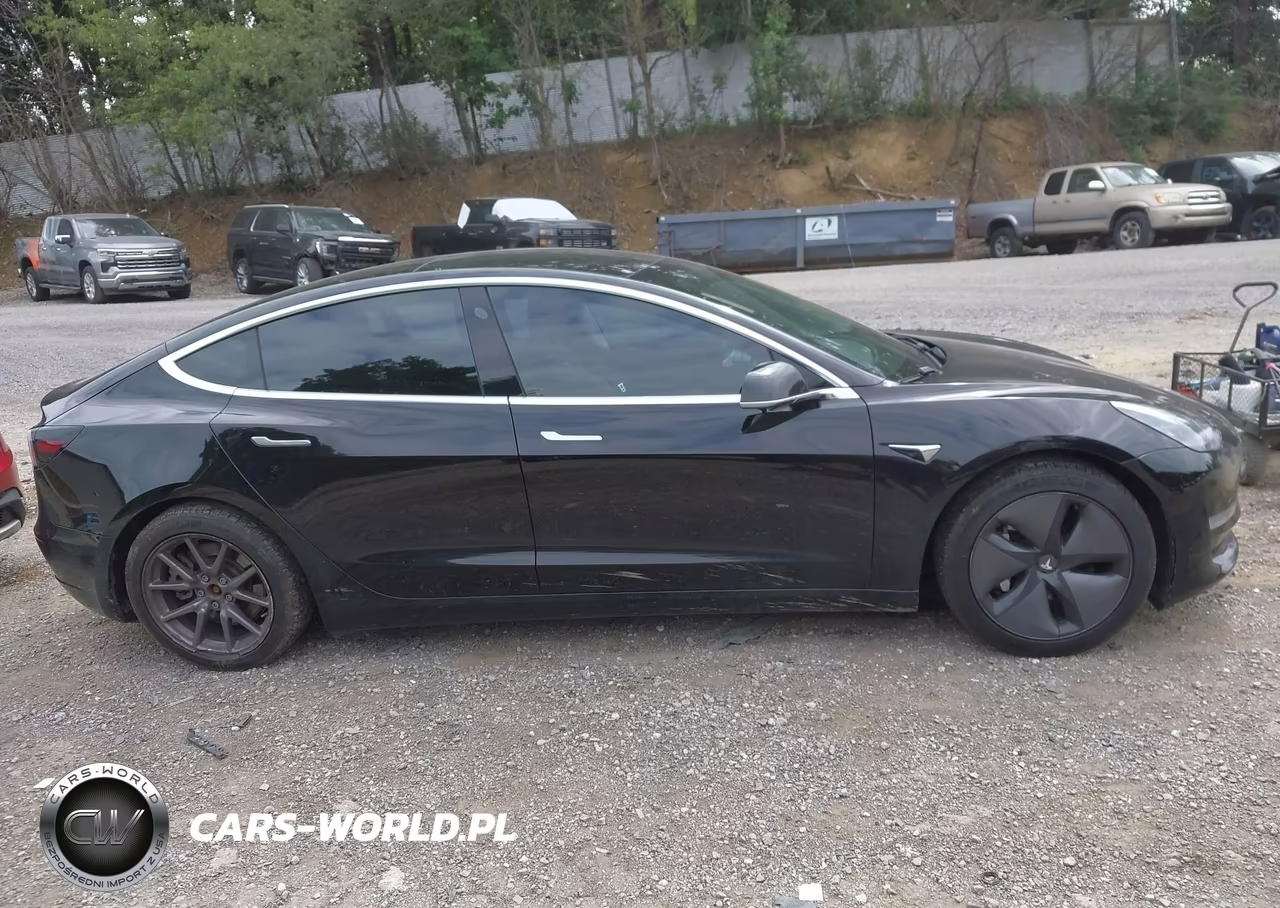 2019 Tesla Model 3 Long Range-Mid Range-Standard Range-Standard Range Plus VIN:5YJ3E1EA1KF306523 - 13
