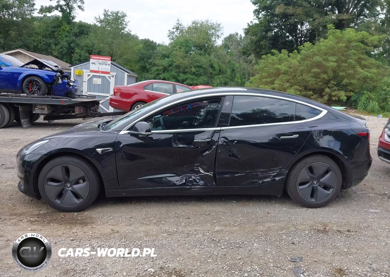 2019 Tesla Model 3 Long Range-Mid Range-Standard Range-Standard Range Plus VIN:5YJ3E1EA1KF306523 - 14