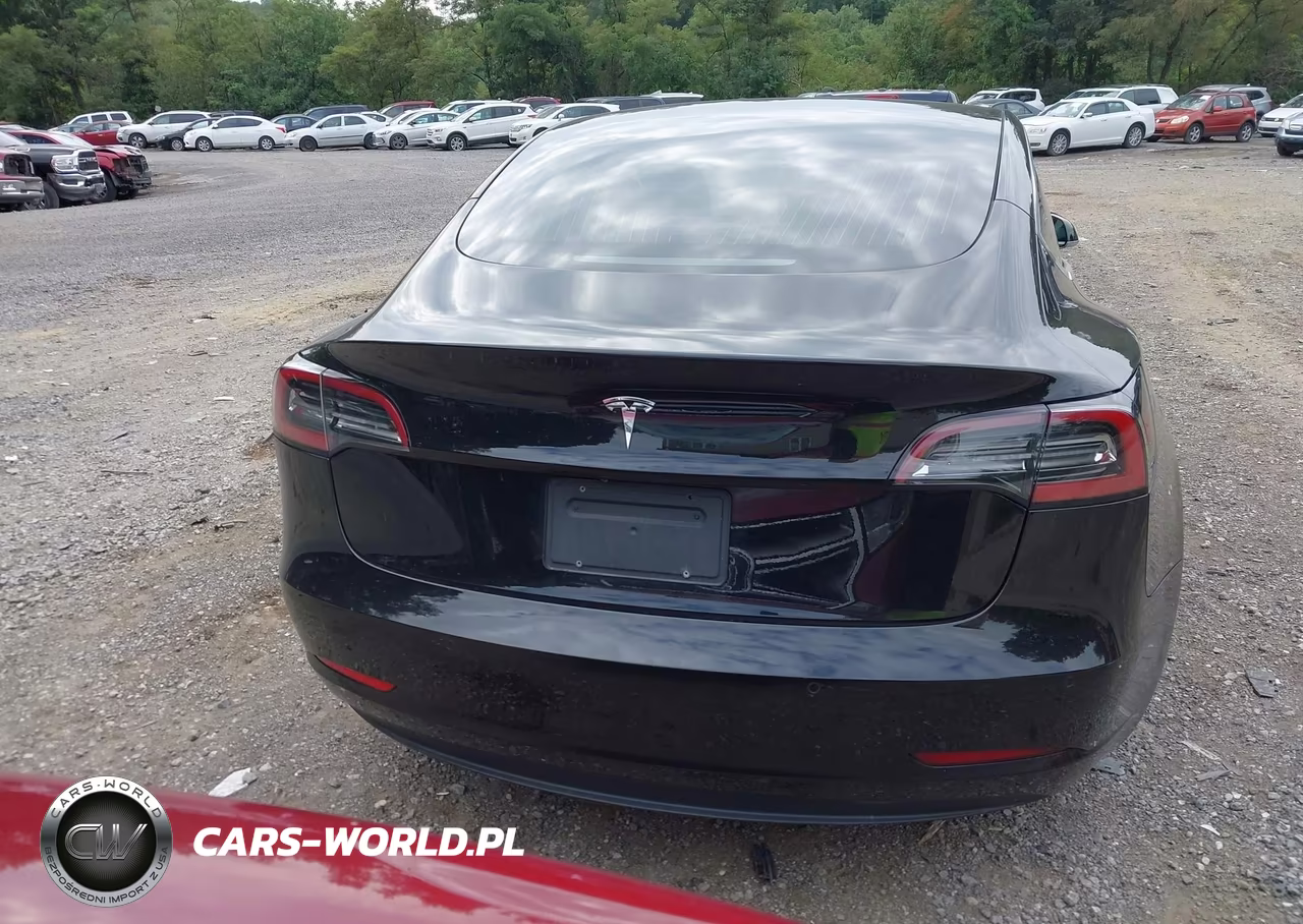 2019 Tesla Model 3 Long Range-Mid Range-Standard Range-Standard Range Plus VIN:5YJ3E1EA1KF306523 - 16