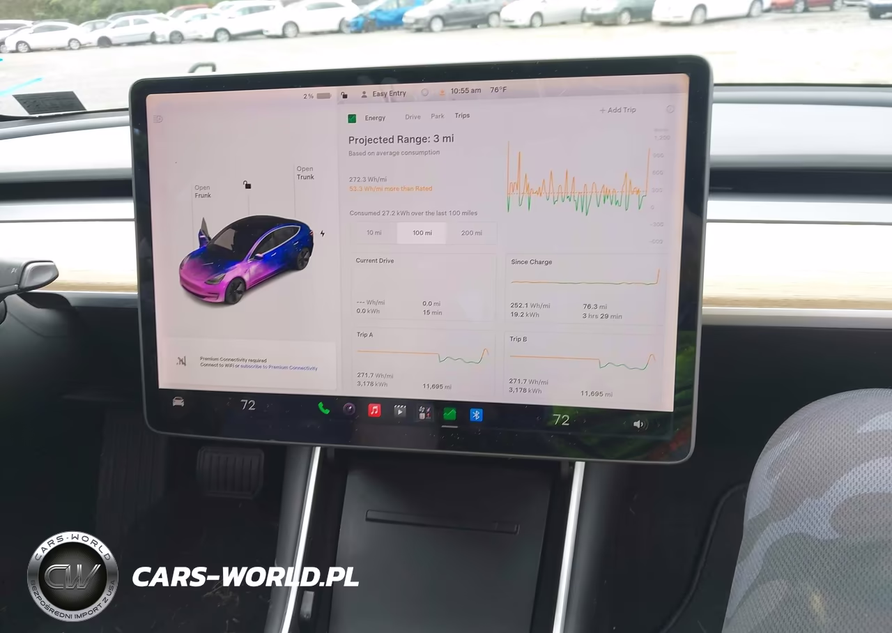 2019 Tesla Model 3 Long Range-Mid Range-Standard Range-Standard Range Plus VIN:5YJ3E1EA1KF306523 - 18
