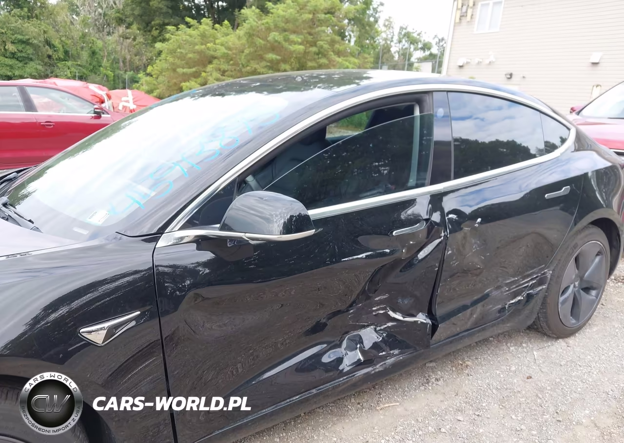2019 Tesla Model 3 Long Range-Mid Range-Standard Range-Standard Range Plus VIN:5YJ3E1EA1KF306523 - 23