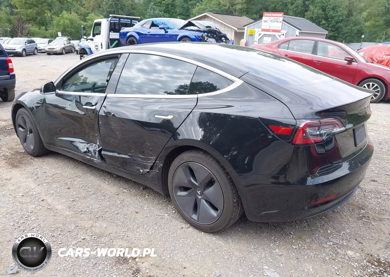2019 Tesla Model 3 Long Range-Mid Range-Standard Range-Standard Range Plus VIN:5YJ3E1EA1KF306523 - 3