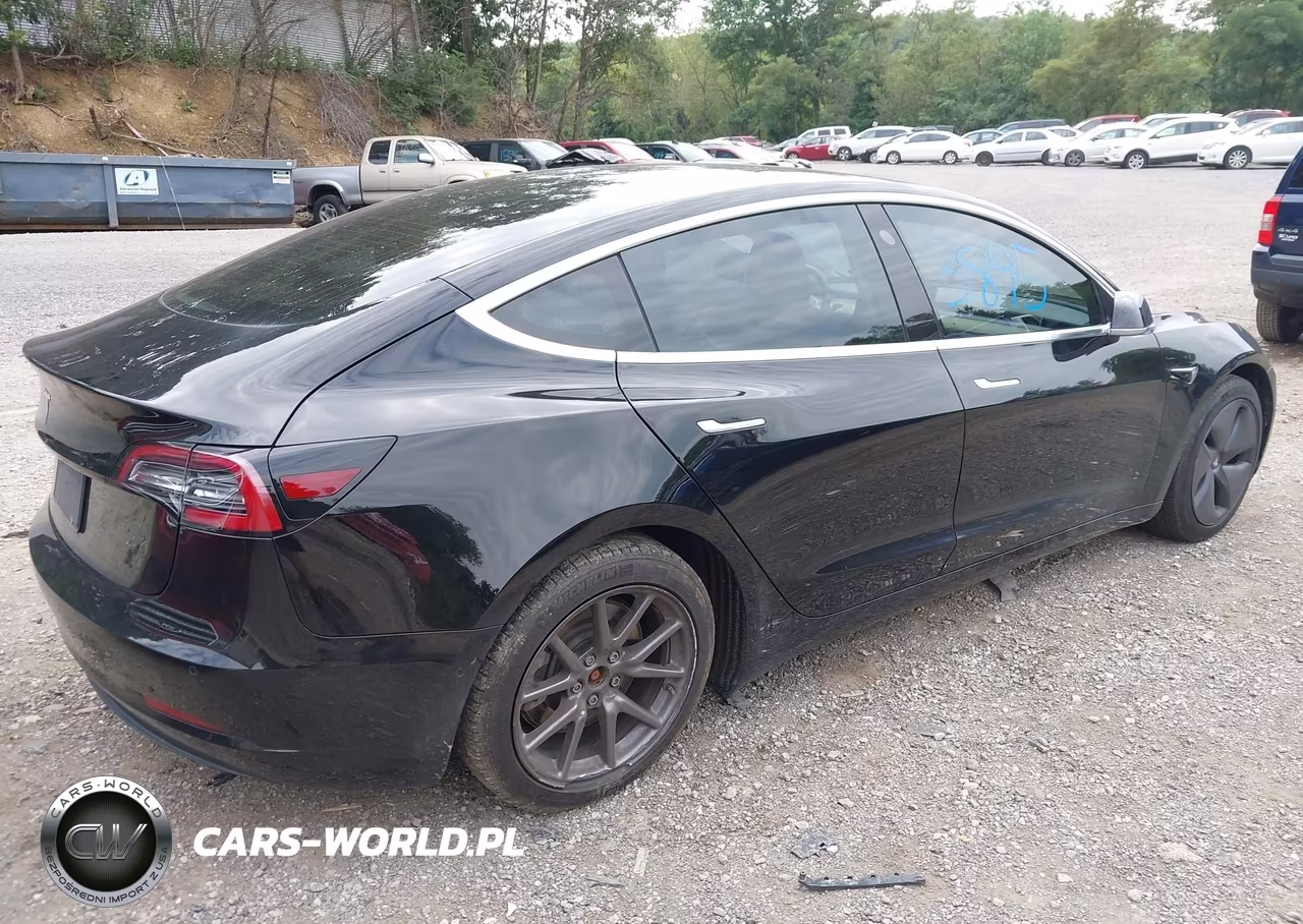 2019 Tesla Model 3 Long Range-Mid Range-Standard Range-Standard Range Plus VIN:5YJ3E1EA1KF306523 - 4