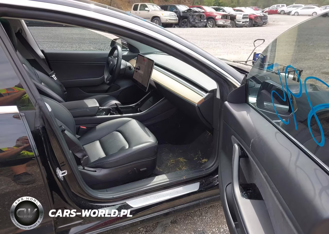 2019 Tesla Model 3 Long Range-Mid Range-Standard Range-Standard Range Plus VIN:5YJ3E1EA1KF306523 - 5