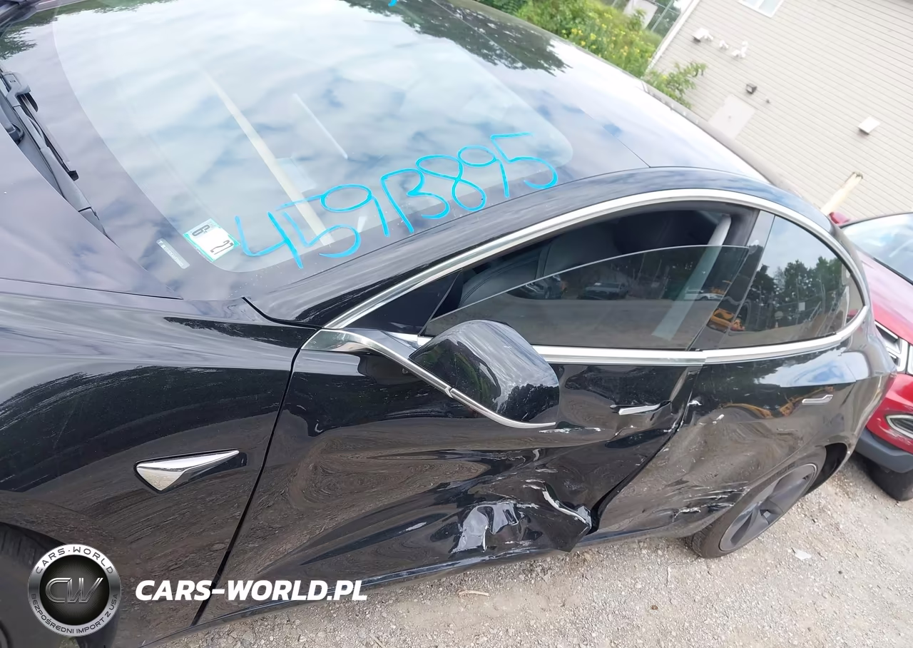 2019 Tesla Model 3 Long Range-Mid Range-Standard Range-Standard Range Plus VIN:5YJ3E1EA1KF306523 - 8