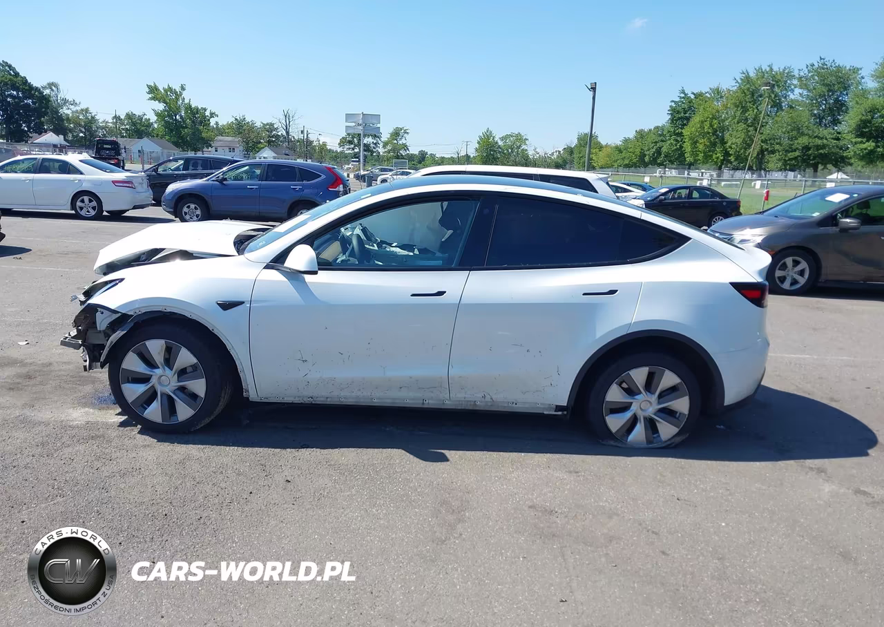 2023 Tesla Model Y Awd-Long Range Dual Motor All-Wheel Drive VIN:7SAYGDEE5PA060894 - 12