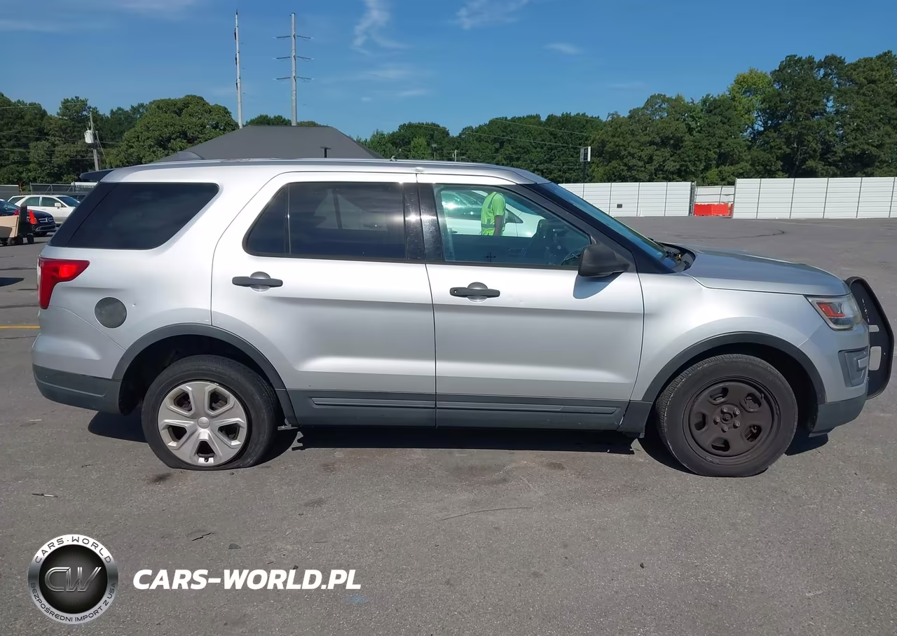 2018 Ford Police Interceptor Utility VIN:1FM5K8AT4JGA58317 - 13