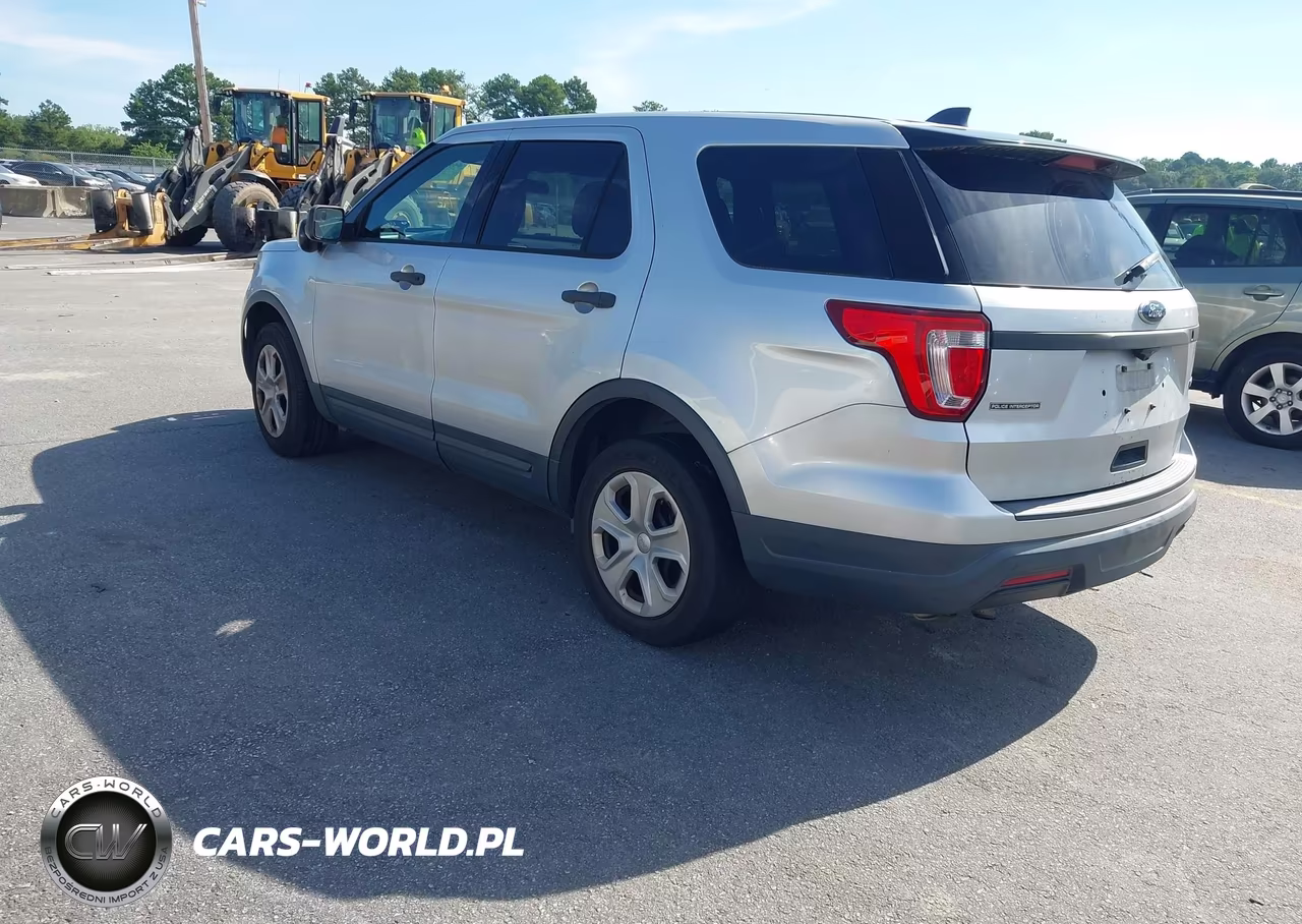 2018 Ford Police Interceptor Utility VIN:1FM5K8AT4JGA58317 - 3