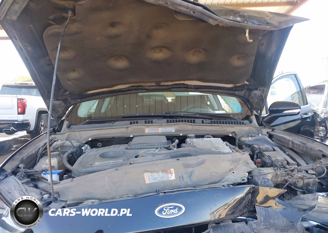 2016 Ford Fusion Hybrid Se VIN:3FA6P0LU1GR187687 - 10