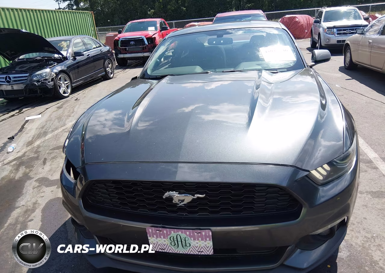 2015 Ford Mustang V6 VIN:1FA6P8AM7F5314042 - 13