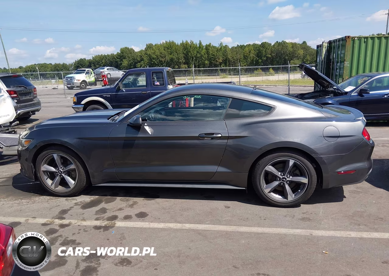 2015 Ford Mustang V6 VIN:1FA6P8AM7F5314042 - 15