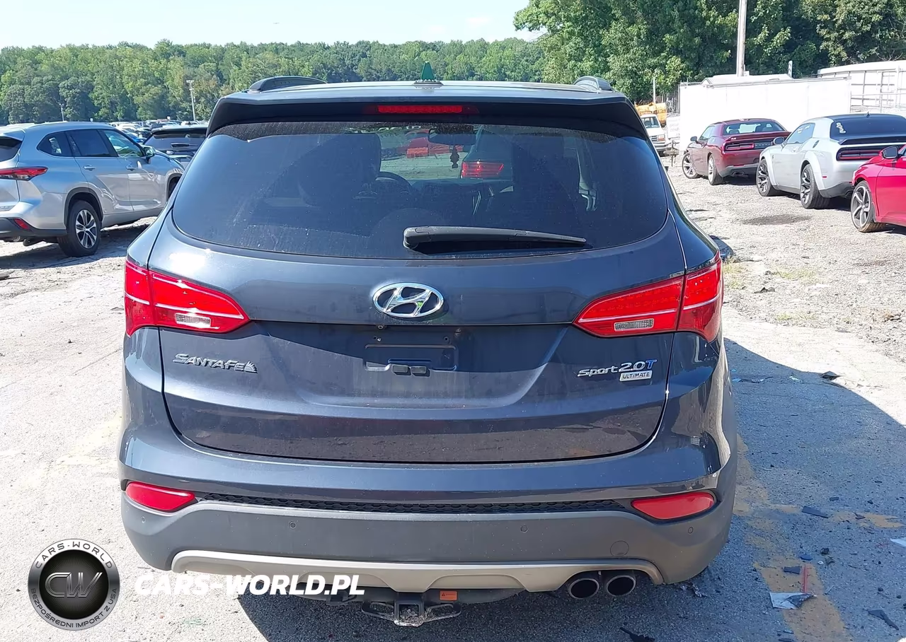 2016 Hyundai Santa Fe Sport 2.0L Turbo VIN:5XYZW4LA5GG308450 - 16