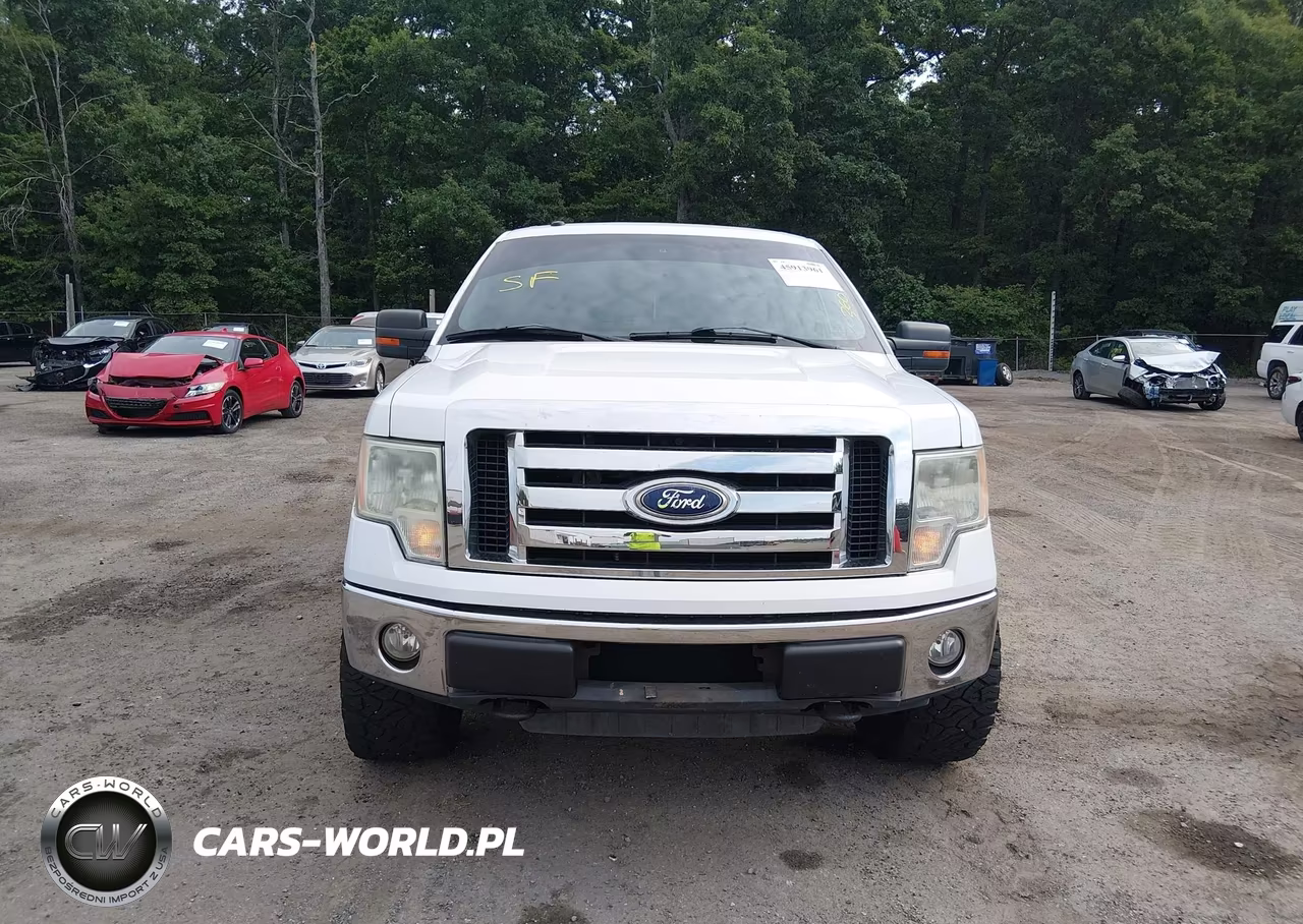 2010 Ford F-150 Xl-Xlt VIN:1FTFW1E83AFA29780 - 12