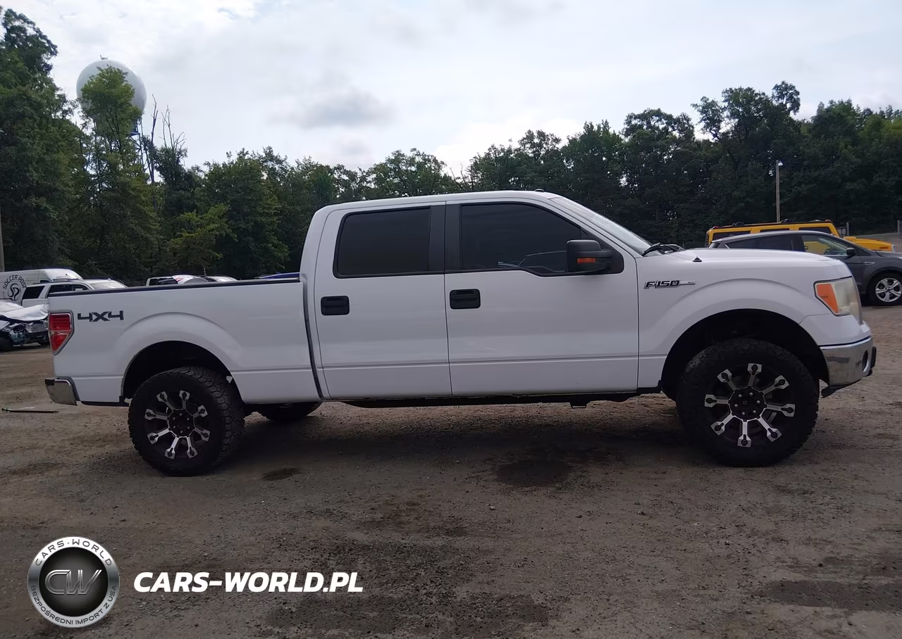 2010 Ford F-150 Xl-Xlt VIN:1FTFW1E83AFA29780 - 13