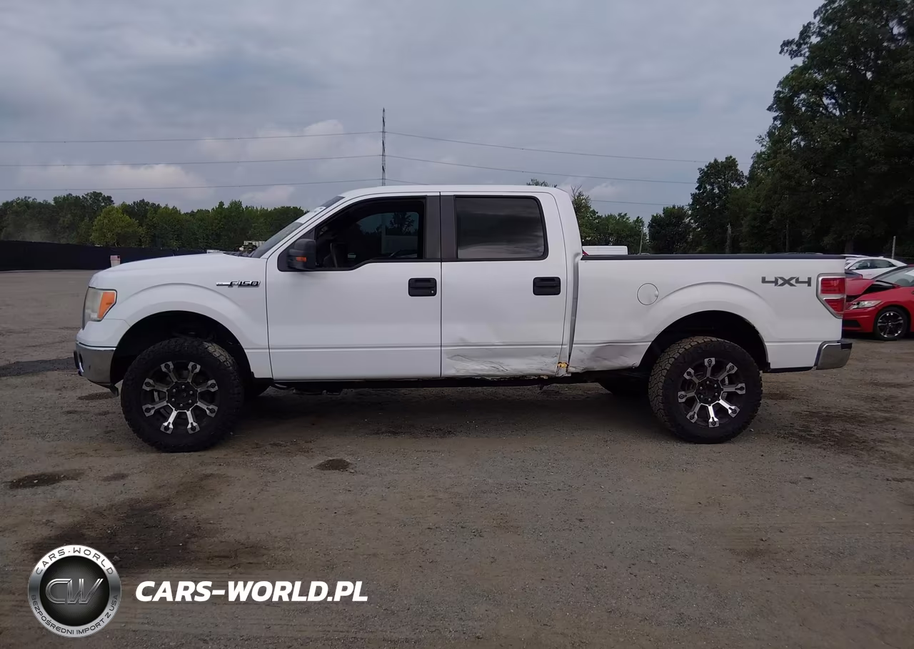 2010 Ford F-150 Xl-Xlt VIN:1FTFW1E83AFA29780 - 14