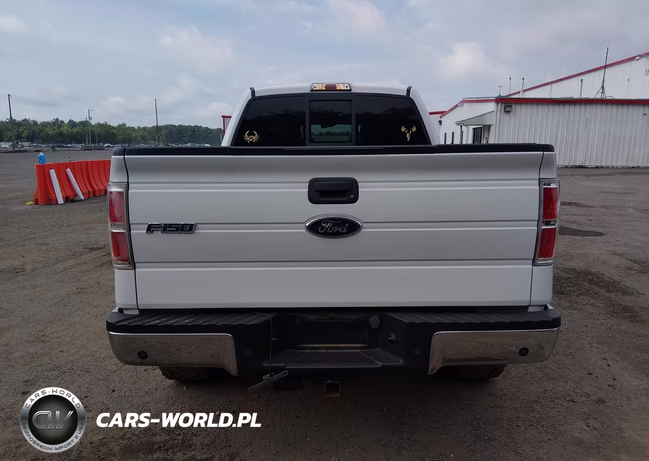 2010 Ford F-150 Xl-Xlt VIN:1FTFW1E83AFA29780 - 16