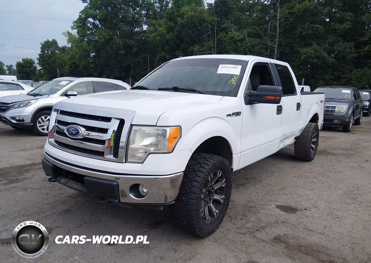 2010 Ford F-150 Xl-Xlt VIN:1FTFW1E83AFA29780 - 2