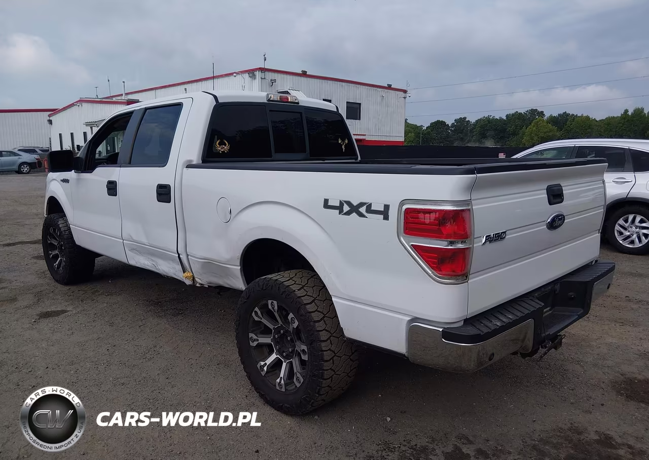 2010 Ford F-150 Xl-Xlt VIN:1FTFW1E83AFA29780 - 3