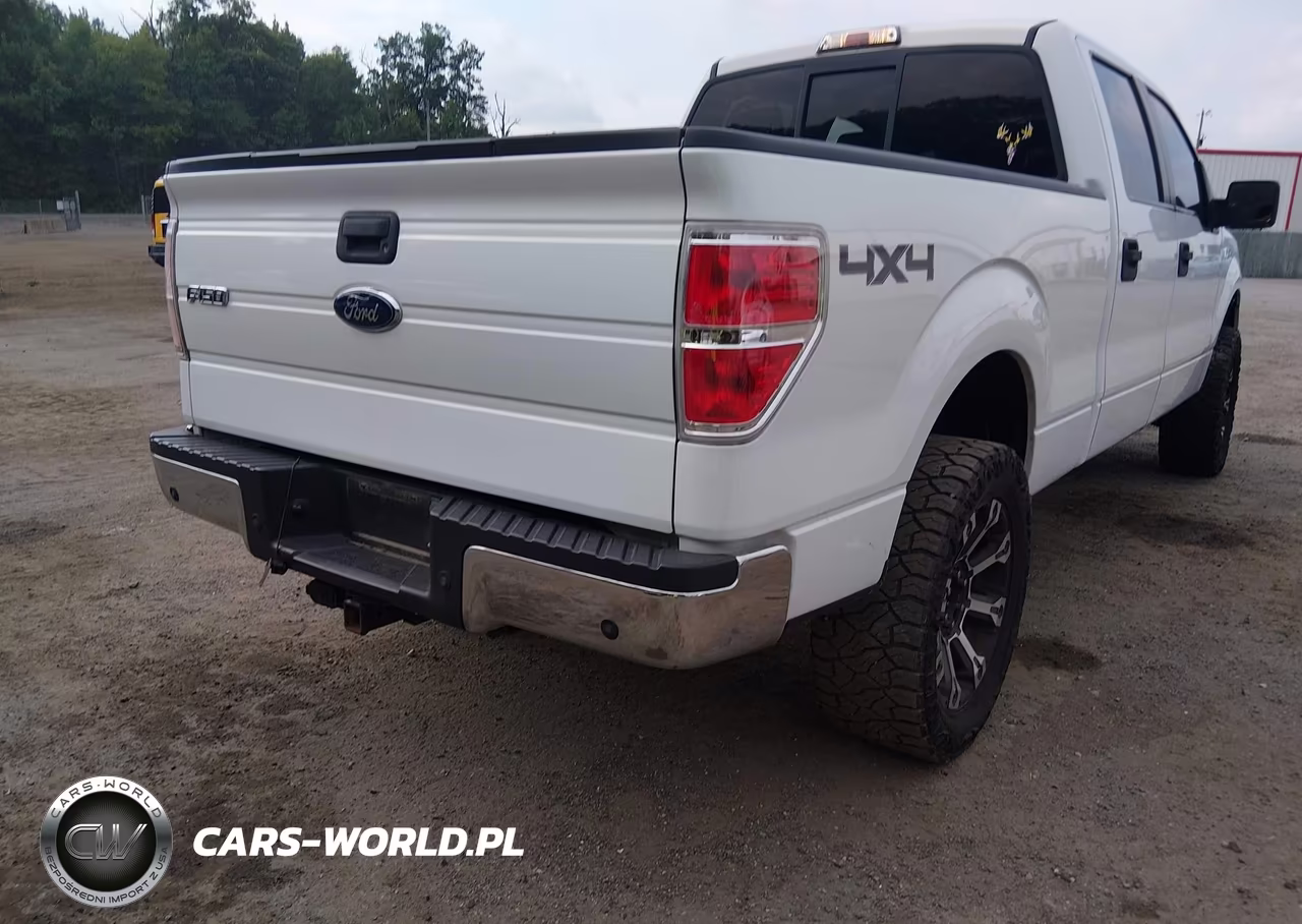2010 Ford F-150 Xl-Xlt VIN:1FTFW1E83AFA29780 - 4