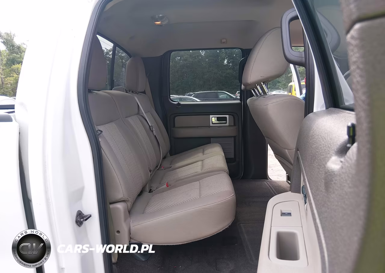 2010 Ford F-150 Xl-Xlt VIN:1FTFW1E83AFA29780 - 8