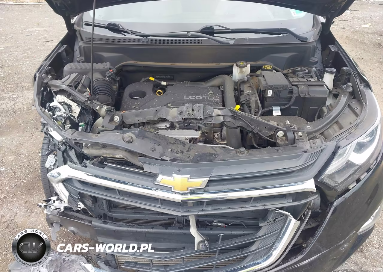 2019 Chevrolet Equinox Lt VIN:2GNAXUEV4K6171704 - 10