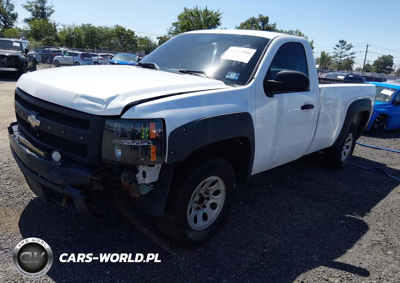 2011 Chevrolet Silverado 1500 Work Truck VIN:1GCNCPEX4BZ345316 - 2