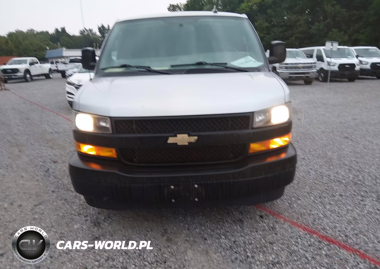 2020 Chevrolet Express Passenger Rwd 3500 Extended Wheelbase Ls VIN:1GAZGNFP2L1252103 - 12