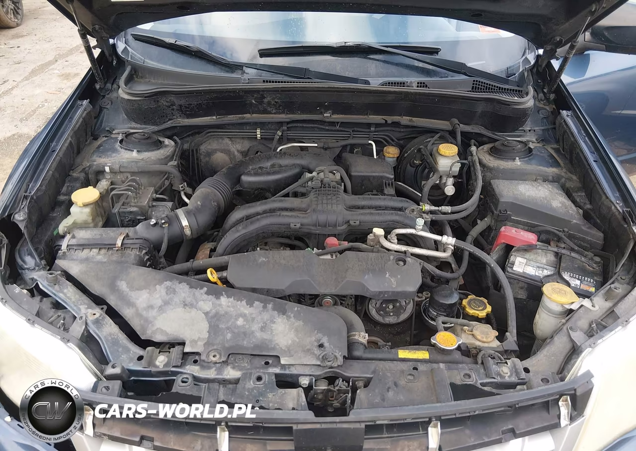2013 Subaru Forester 2.5X VIN:JF2SHABC1DG413686 - 10