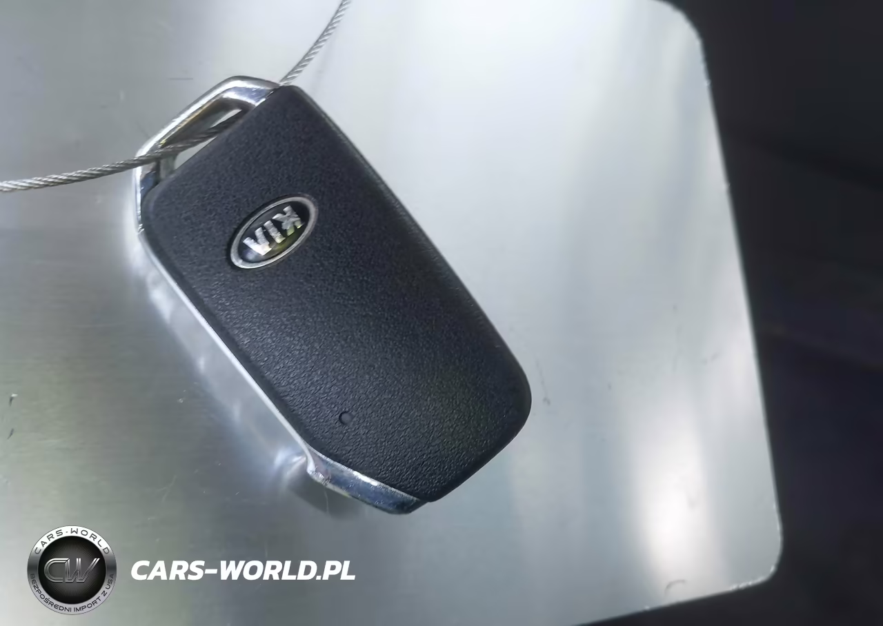 2020 Kia Telluride Lx VIN:5XYP24HC4LG077466 - 11